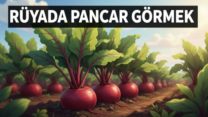 "Rüyada Pancar Görmek"