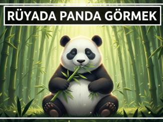 "Rüyada Panda Görmek"