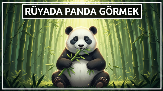 "Rüyada Panda Görmek"