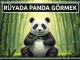"Rüyada Panda Görmek"