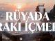 "Rüyada Rakı İçmek"