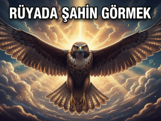 "Rüyada Şahin Görmek"