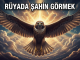 "Rüyada Şahin Görmek"