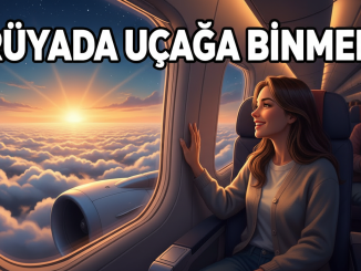 "Rüyada Uçağa Binmek"