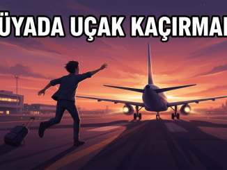 "Rüyada Uçak Kaçırmak"
