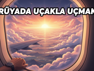 "Rüyada Uçakla Uçmak"