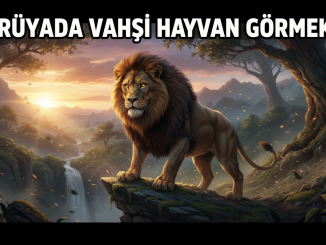 "Rüyada Vahşi Hayvan Görmek"