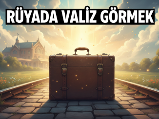 "Rüyada Valiz Görmek"