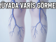 "Rüyada Varis Görmek"