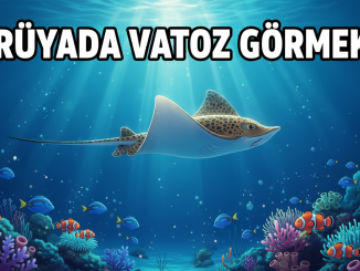 "Rüyada Vatoz Görmek"