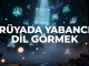 "Rüyada Yabancı Dil Görmek"