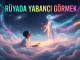 "Rüyada Yabancı Görmek"