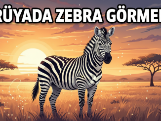 "Rüyada Zebra Görmek"