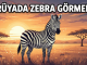 "Rüyada Zebra Görmek"