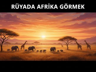 "Rüyada Afrika Görmek"