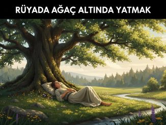"Rüyada Ağaç Altında Yatmak"