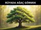 "Rüyada Ağaç Görmek"