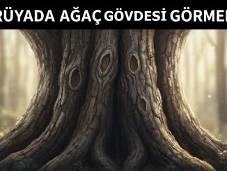 "Rüyada Ağaç Gövdesi Görmek"
