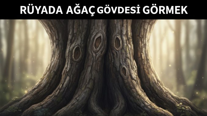 "Rüyada Ağaç Gövdesi Görmek"