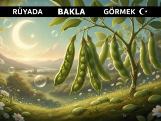 "Rüyada Bakla Görmek"