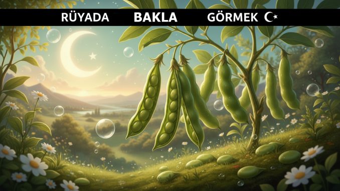 "Rüyada Bakla Görmek"