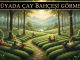 "Rüyada Çay Bahçesi Görmek"