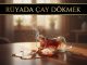 "Rüyada Çay Dökmek"
