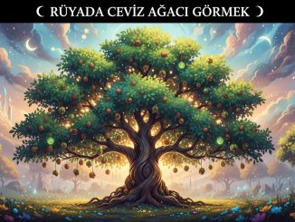"Rüyada Ceviz Ağacı Görmek"