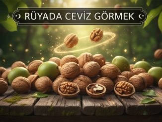 "Rüyada Ceviz Görmek"