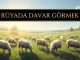 "Rüyada Davar Görmek"