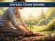"Rüyada Fidan Dikmek"