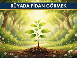 "Rüyada Fidan Görmek"