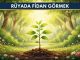 "Rüyada Fidan Görmek"