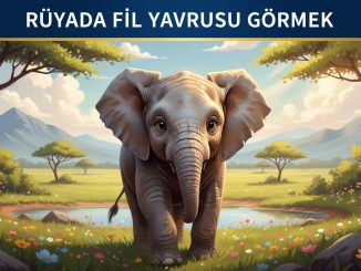 "Rüyada Fil Yavrusu Görmek"