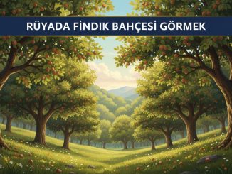 "Rüyada Fındık Bahçesi Görmek"
