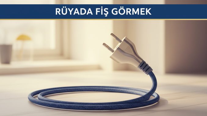 "Rüyada Fiş Görmek"