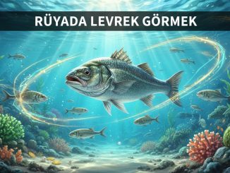 "Rüyada Levrek Görmek"
