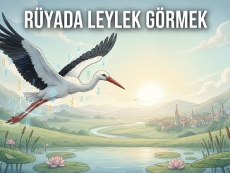 "Rüyada Leylek Görmek"