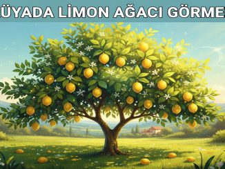 "Rüyada Limon Ağacı Görmek"