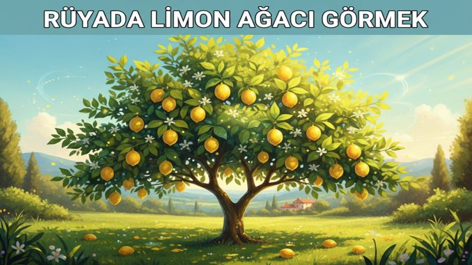 "Rüyada Limon Ağacı Görmek"