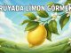 "Rüyada Limon Görmek"