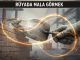 "Rüyada Mala Görmek"