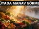 "Rüyada Manav Görmek"