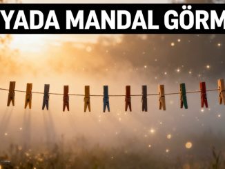 "Rüyada Mandal Görmek"