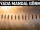 "Rüyada Mandal Görmek"
