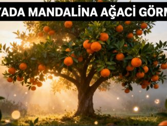 "Rüyada Mandalina Ağacı Görmek"