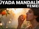 "Rüyada Mandalina Yemek"