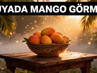 "Rüyada Mango Görmek"