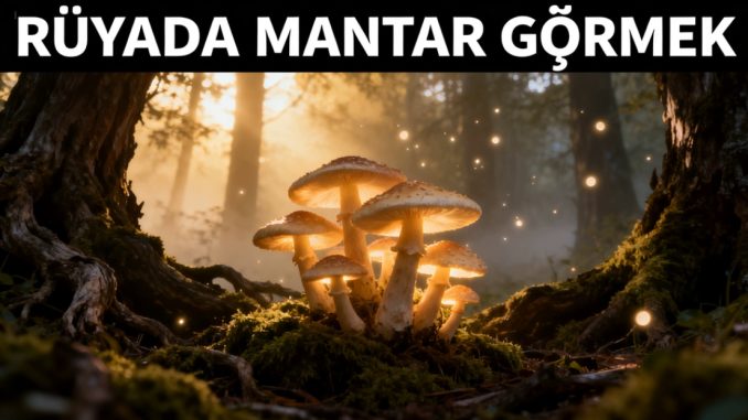 "Rüyada Mantar Görmek"