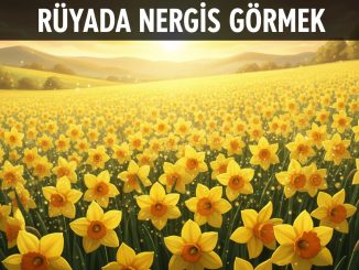 "Rüyada Nergis Görmek"